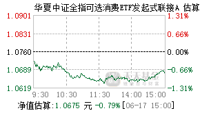 021365基金盘中实时估值图