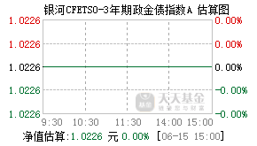021567基金盘中实时估值图