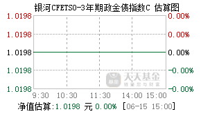 021568基金盘中实时估值图