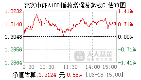 021800基金盘中实时估值图