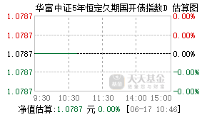 022063基金盘中实时估值图