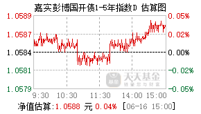 022101基金盘中实时估值图