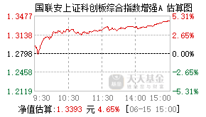 024025基金盘中实时估值图