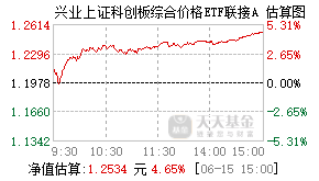 024085基金盘中实时估值图