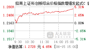 024635基金盘中实时估值图