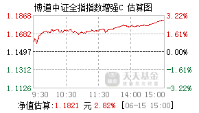 025021基金盘中实时估值图