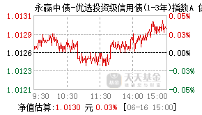 025098基金盘中实时估值图