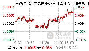 025099基金盘中实时估值图