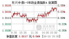 025123基金盘中实时估值图
