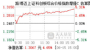 025365基金盘中实时估值图