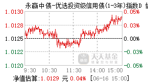027456基金盘中实时估值图